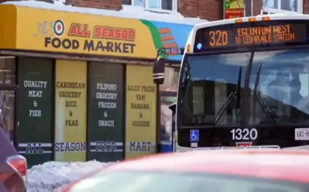 Councillor Urges Eglinton Crosstown Stations to Honor Little Jamaica’s Resilience