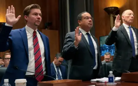 Minnesota Officials Testify in Senate Hearing on Immigration Issues