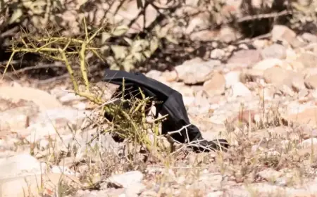 Guthrie update: Black gloves recovered as Nancy Guthrie search expands and DNA testing begins