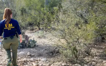 Investigators Discover Black Gloves in Nancy Guthrie Search