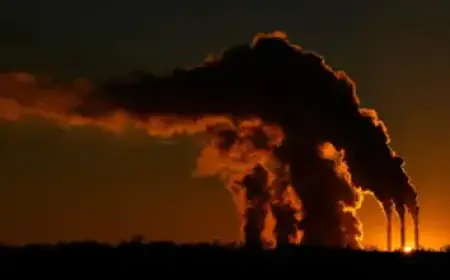 Lawyer Claims Federal Deception Justified Marimar Martinez Shooting