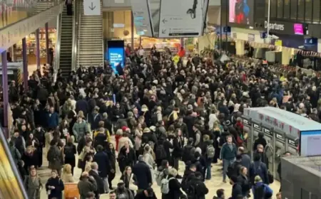 Train Disruptions: Delays and Cancellations Detailed for Commuters