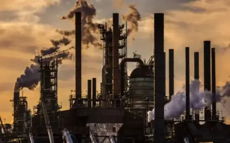 Trump Revokes EPA’s Climate Regulation Authority, Igniting Global Legal Showdown