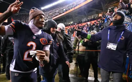 Iowa Lawmakers Advocate for Cross-State Bear Relocation