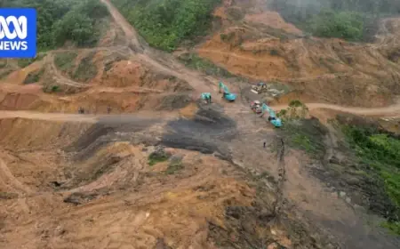 “Rising Wood Imports Raise Questions on Source Transparency”