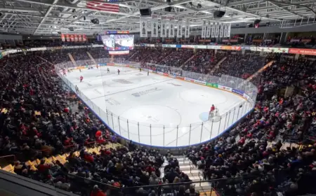 Oshawa Hockey Fans Urged to Shower Before Visiting the Rink