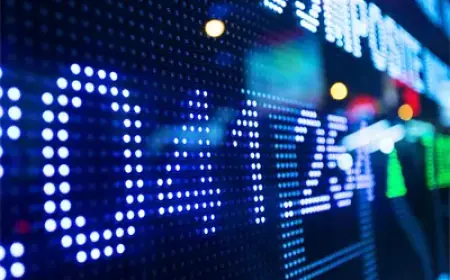 WiseTech Bull Claims AI-Driven Selloff Excessive — Market Analysis