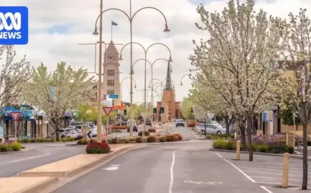 Should Local Councils Implement Paid Parking?