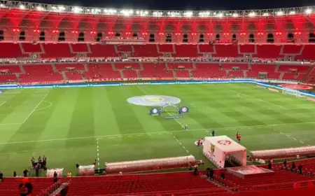 Inter vs. Palmeiras: Confirmed Lineups for Brazilian Championship Match