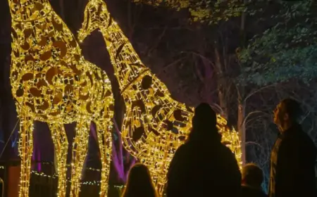 Wildlife Park’s Dazzling Light Trail Returns with Exciting New Surprises