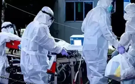 West Bengal Records First Nipah Death in Recent History