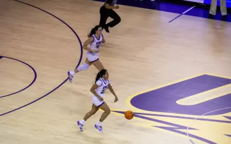 Bears Defeat Panthers in Home Game Showdown