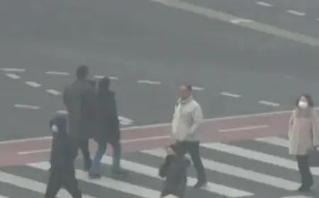 Seoul Faces First Emergency Reduction Measures Amid High Temperatures and Smog