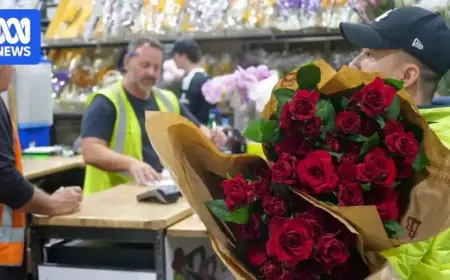 Flower Industry Seeks Clearer Labels Amid $220M Valentine’s Sales