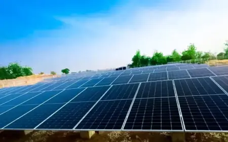 UK Investor, Bank of Africa Support Nigeria’s Rural Solar Grids