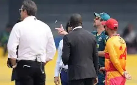 Zimbabwe race to 57 without loss after seven overs against Australia at T20 World Cup