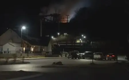 Overnight fire destroys two animal barns at SkyLand Ranch in Sevierville; no injuries, animals safe