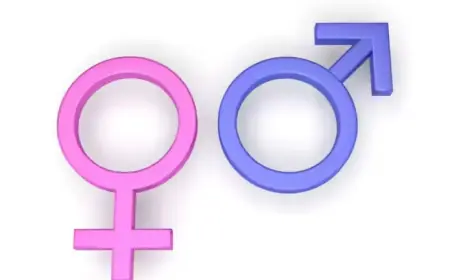 Feminism Embraces Equality Without Dismissing Men