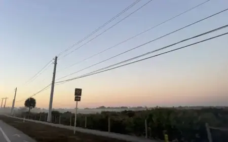 Morning Fog Clears, Bringing Calm and Warmer Weekend Weather