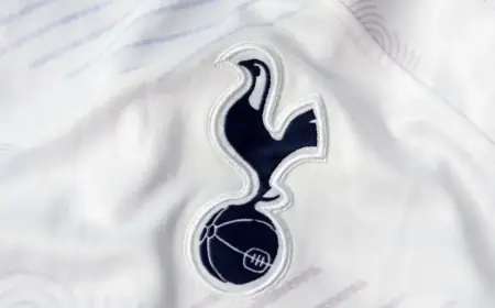 Tottenham Prioritize Manager Search, Contact Free Agent