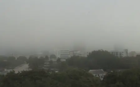 Rainy Weekend Ahead: Expect Foggy Mornings to Start