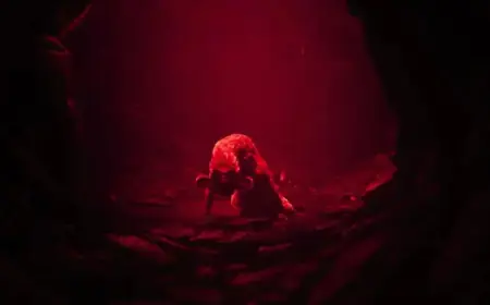 Reanimal Developers Unveil Original Game Title and Explain Its Shortcomings