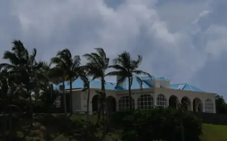 Epstein Evidence Fuels Growth of Conspiracy Theories