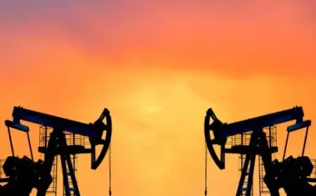 IEA Demand Outlook Cuts Trigger 3% Drop in Oil Prices