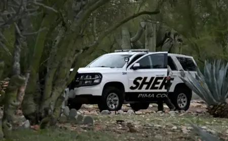 DNA Evidence Advances Investigation in Nancy Guthrie Case: Latest Updates