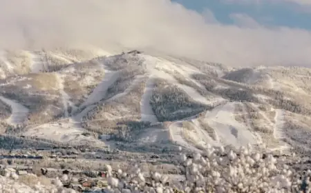 Plane Crash Near Steamboat Springs, Colo. Claims Four Lives