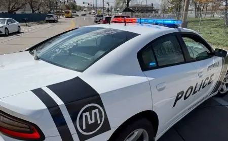 Homeless man arrested again after digging hole under Murray overpass