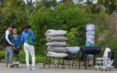 Cuba Combats Energy Crisis with Charcoal and Solar Solutions