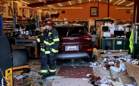 Car Collides with Santa Rosa Oliver’s Market, Injures Seven