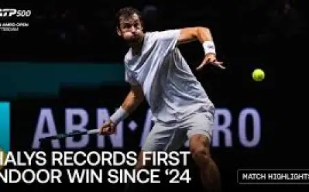 Quentin Halys rallies past qualifier Rottgering to reach Rotterdam second round