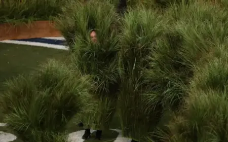 Bad Bunny’s Halftime Workout Stats Go Viral as ‘Sugarcane Plant’ Performer