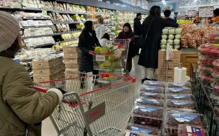 One Year Later: Americans Bear the Cost of Trump’s Tariffs