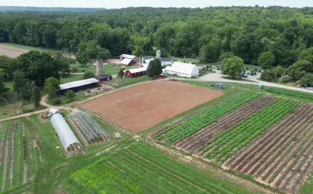 Gov. Spanberger announces $4.9M into Virginia’s food supply chain