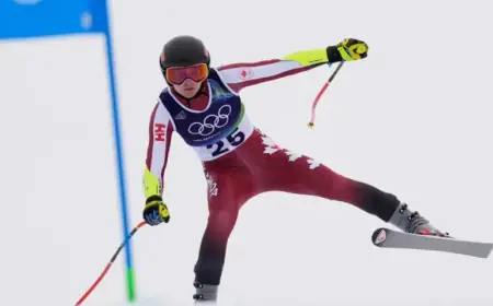 Olympic Universe Explored