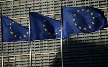 Czech Support for EU Grows, Euro Adoption Interest Stays Low