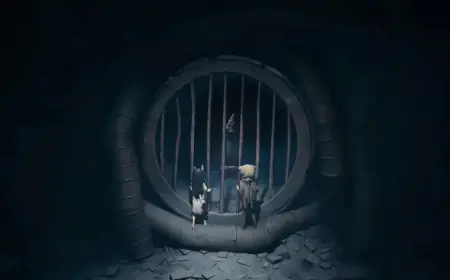 Reanimal Faces Steam Backlash Over Missing Co-op Friend Pass at Launch