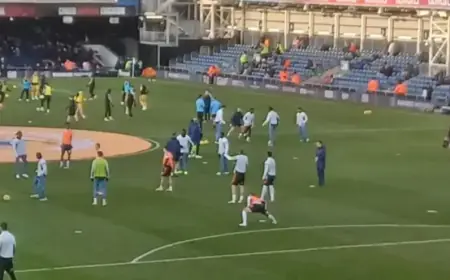 Luton Town Signs Palmer, Both, and Walsh