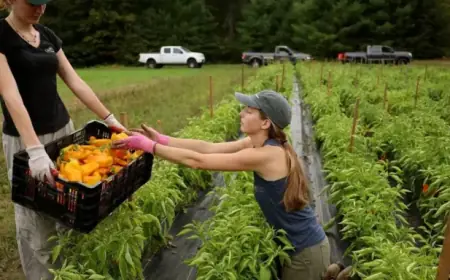 Critics Slam GOP for ‘Grotesque’ Farm Bill Laden with ‘Industry-Backed Poison Pills’