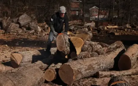 Americans Rush to Buy Firewood as Winter Persists