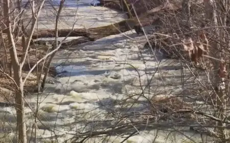 Sewage Pipe Collapse Leaves Behind Waste and Toilet Paper