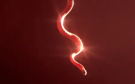 Opinion: Why ‘Wuthering Heights’ Reigns as the Strangest Love Story