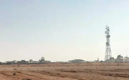 US Military Conducts Airstrikes Against ISIS in Syria: NPR