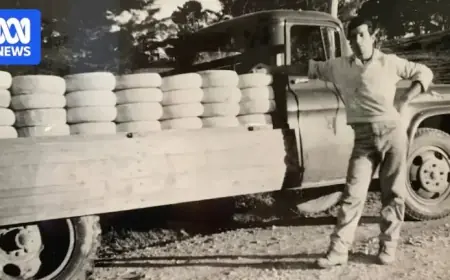 Italian Migrants Transform Australian Cheese with Cheddar to Pecorino Revolution