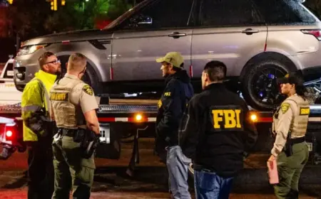 Nancy Guthrie Search: No Arrests Made After Warrant Execution, Say Authorities