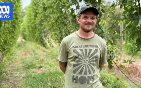 WA Hop Growers Prepare for Harvest Amid Evolving Craft Beer Trends