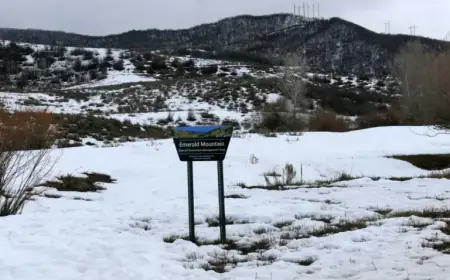 Colorado Plane Crash Claims 4 Lives, Including Tennessee Businessmen